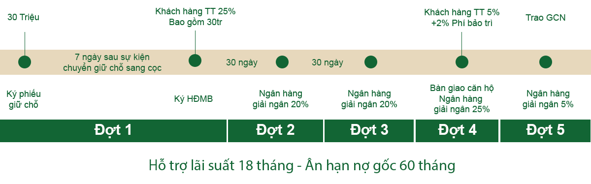 PTTT Vay 70%